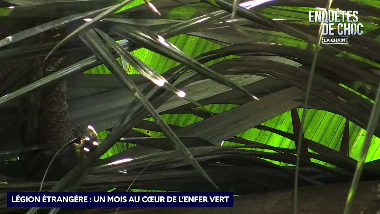 Enquêtes De Choc live