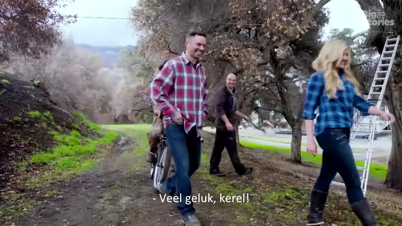 wedotv Big Stories live