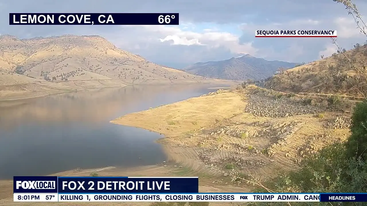 FOX LOCAL Detroit live