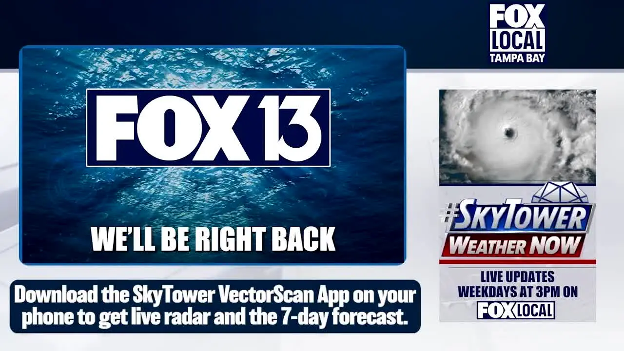 FOX LOCAL Tampa Bay live