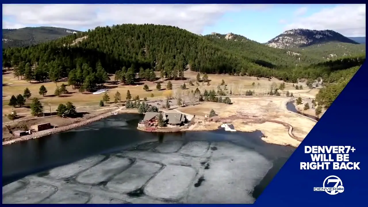 Denver 7 live