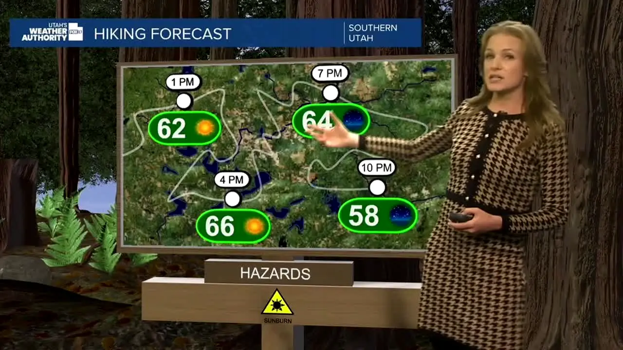 FOX 13 News live