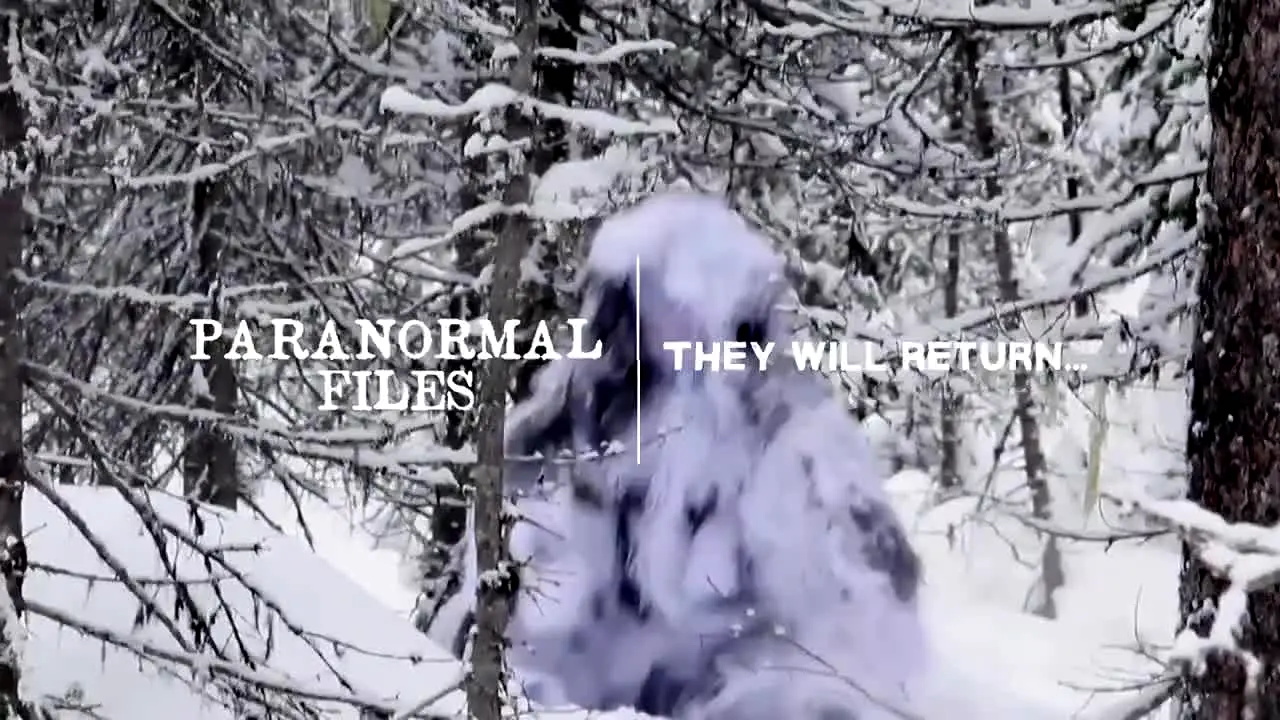 Paranormal Files live
