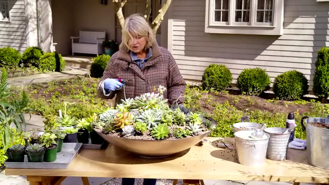 The Martha Stewart Channel live