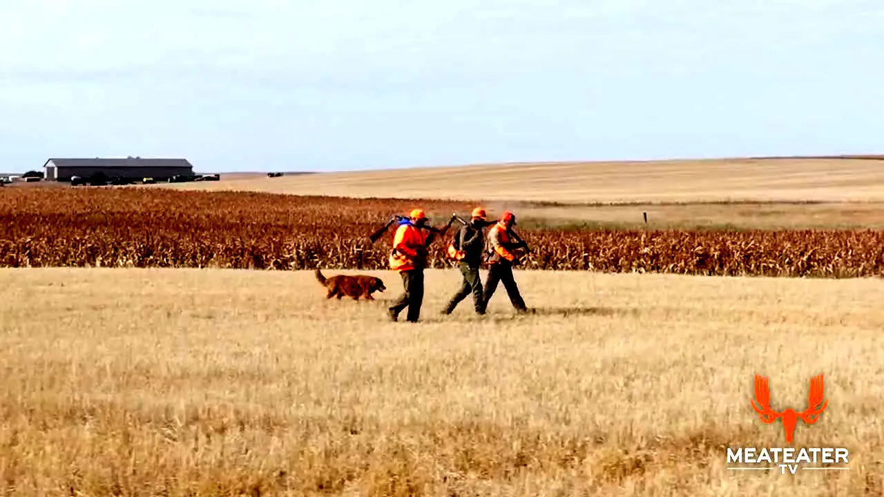 MeatEater live
