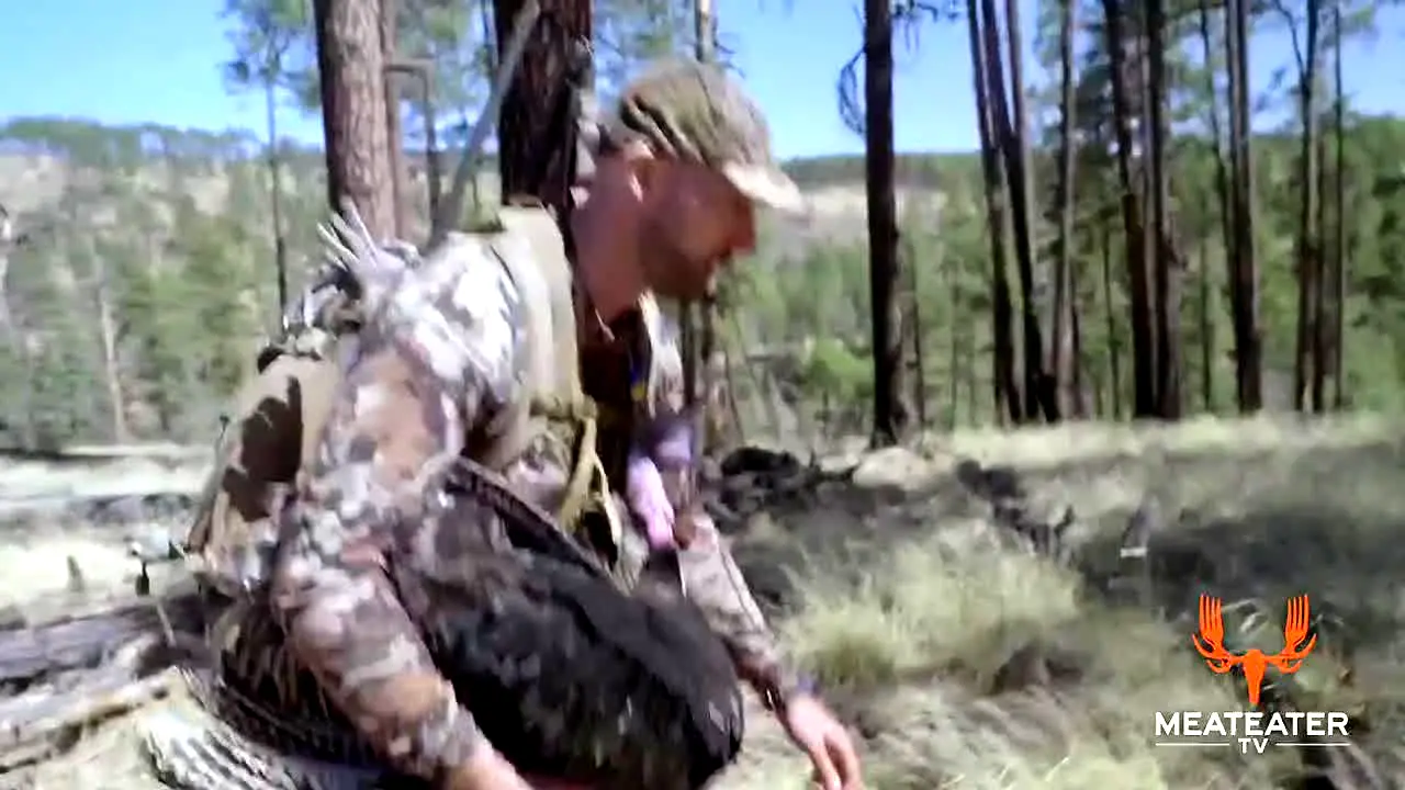MeatEater live