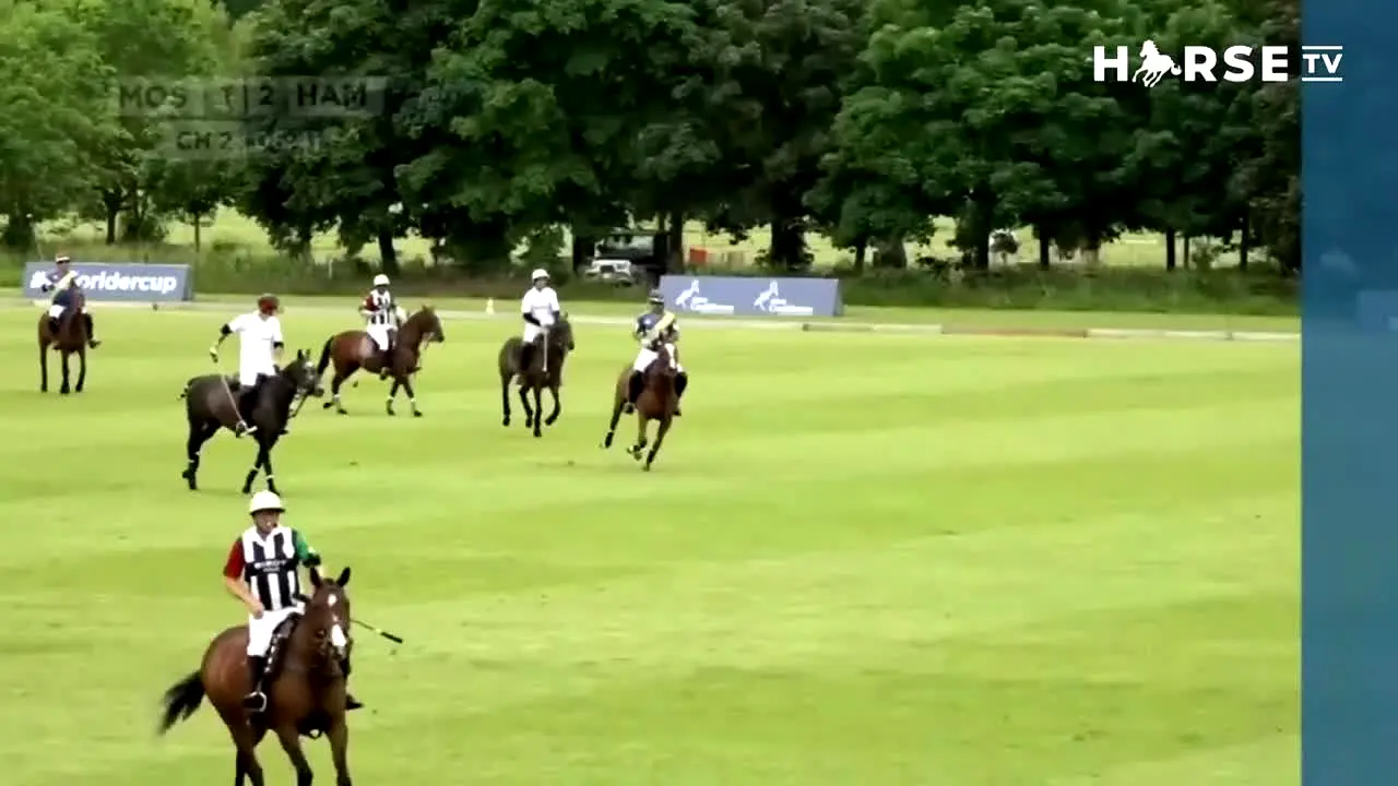 Horse TV live