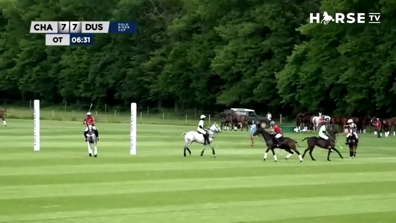 Horse TV in diretta