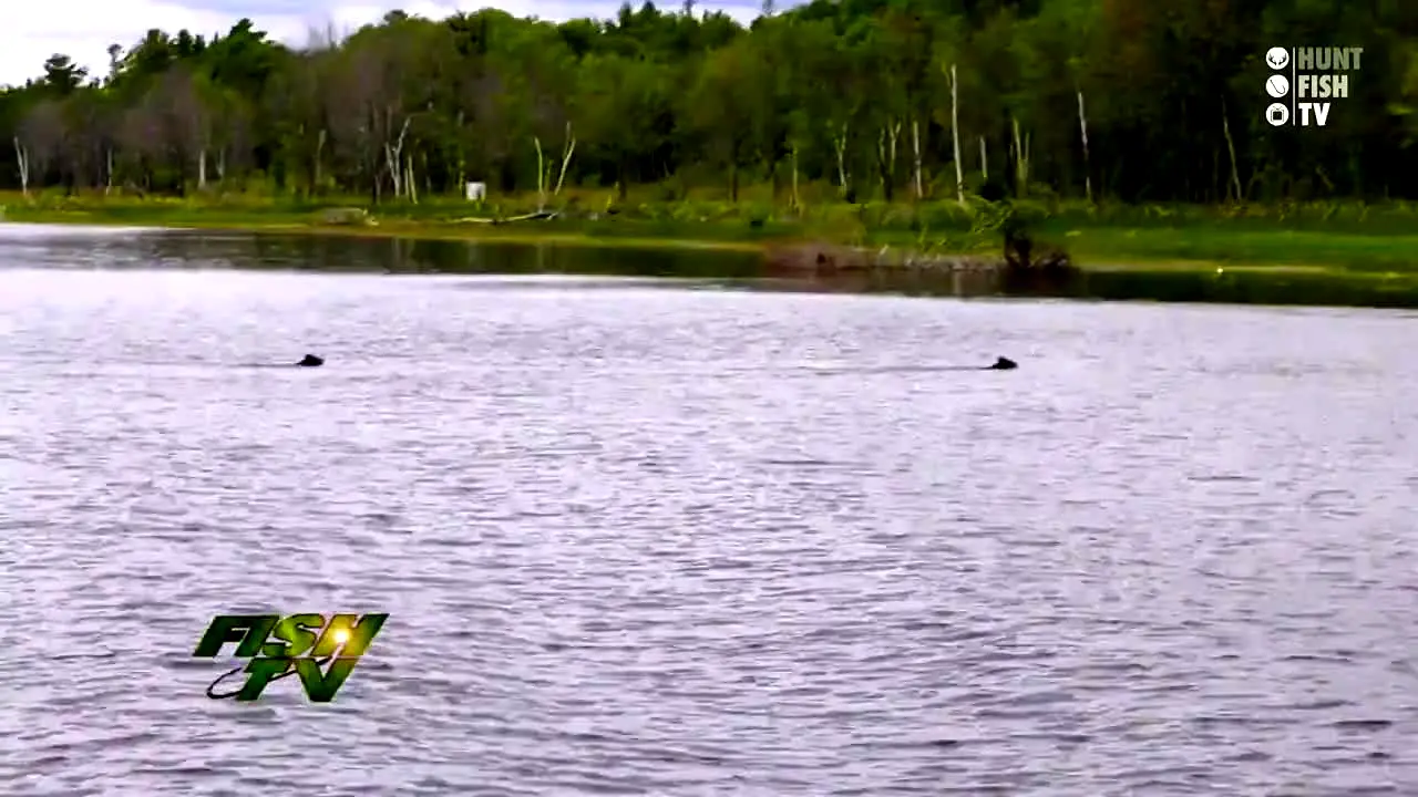 Hunt Fish TV live