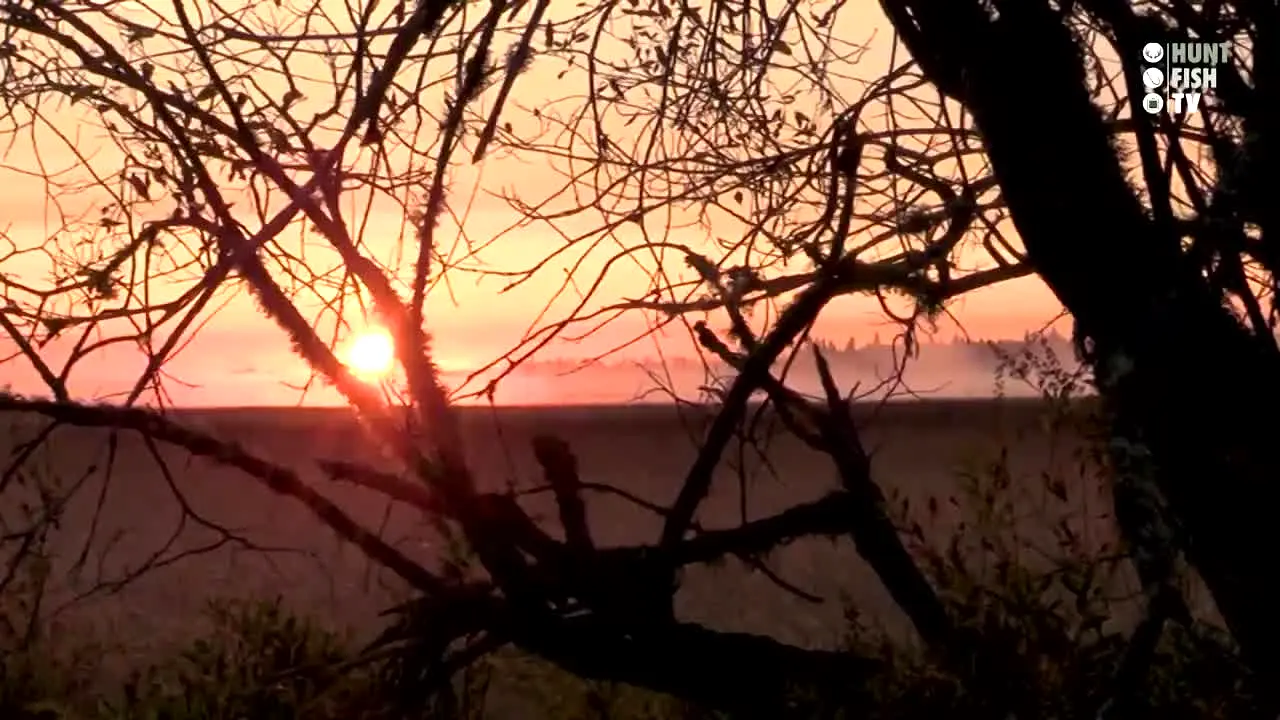 Hunt Fish TV na żywo