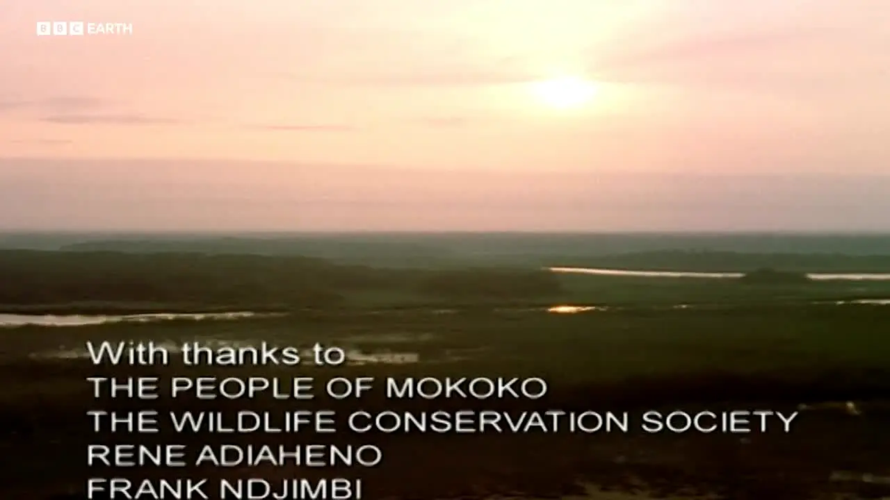 BBC Earth live