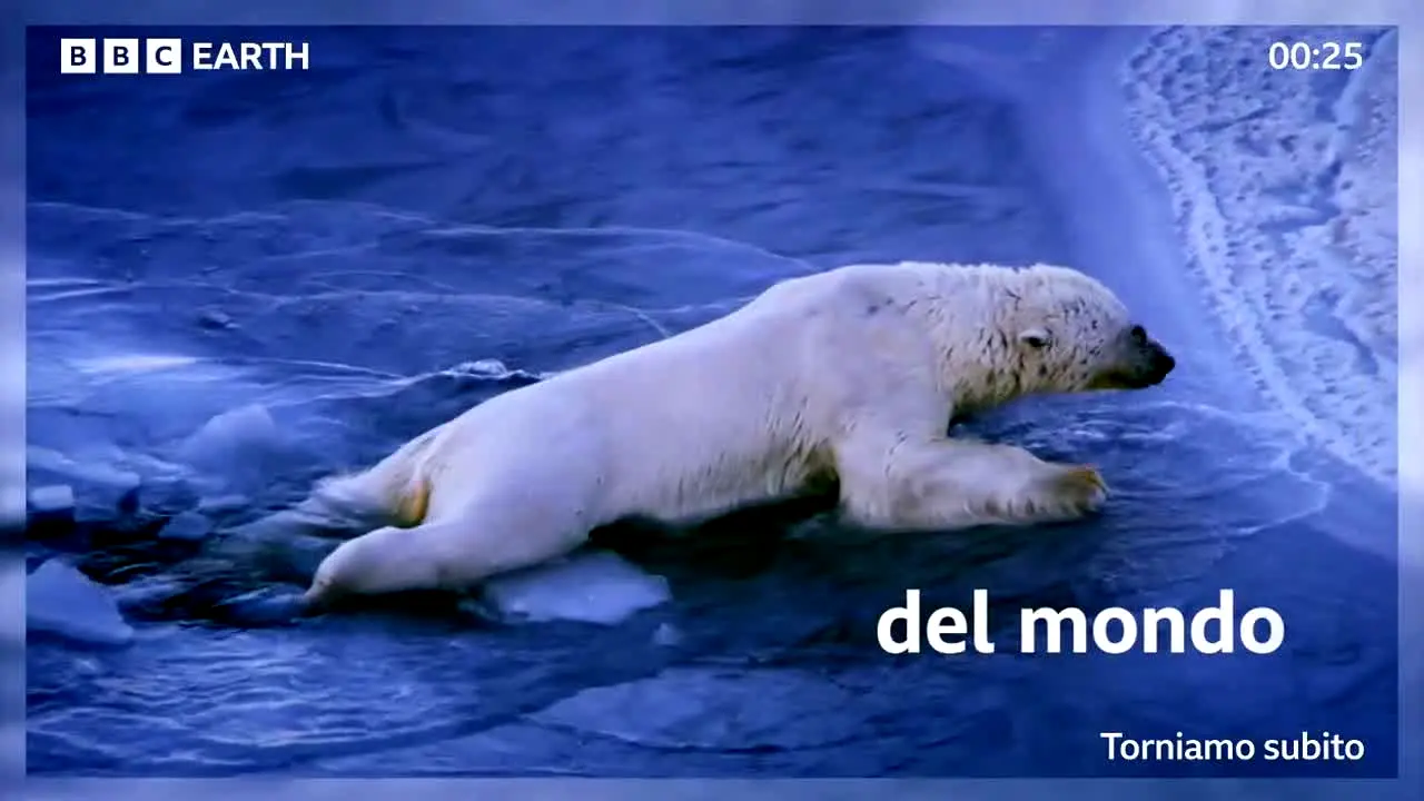 BBC Earth na żywo
