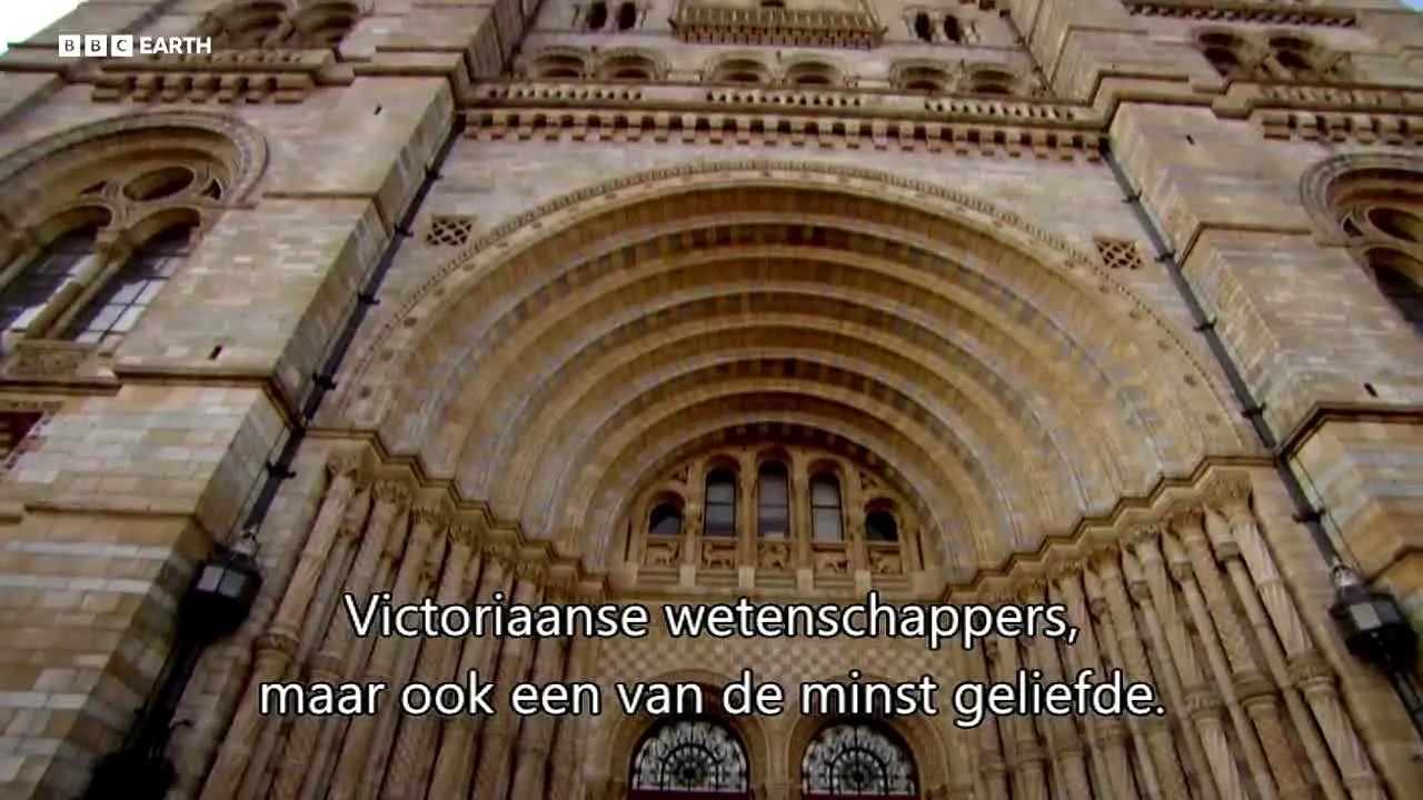 BBC Earth live