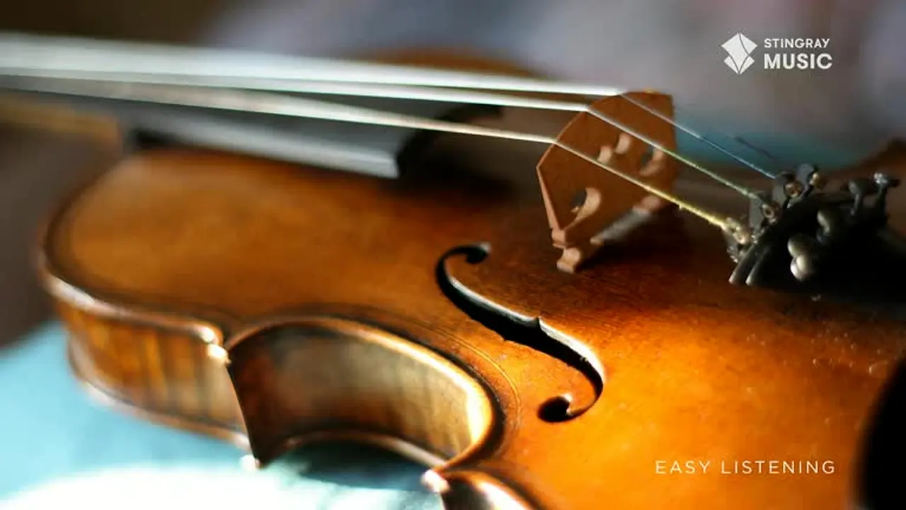 Easy Listening live