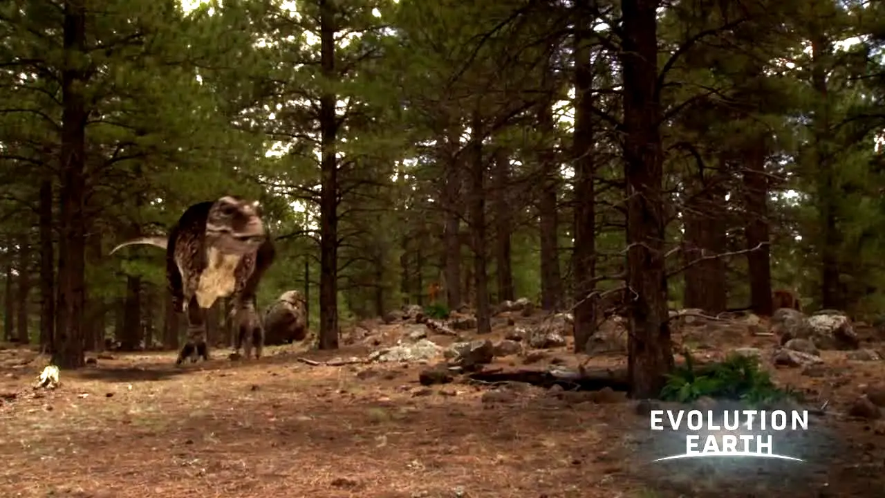 Evolution Earth live