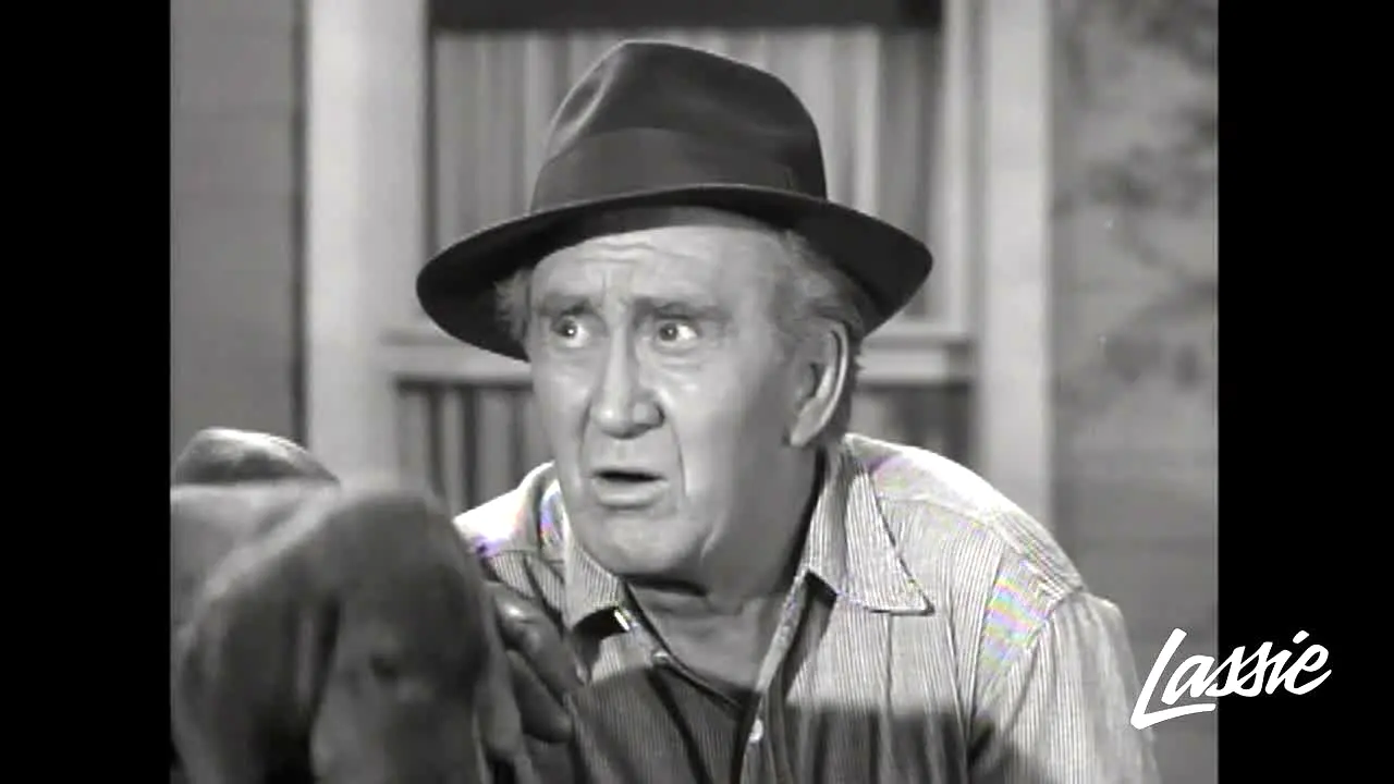 Lassie live