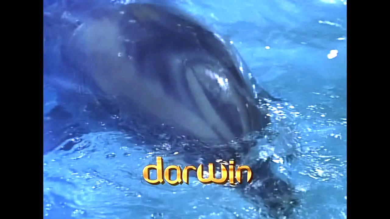 Seaquest live
