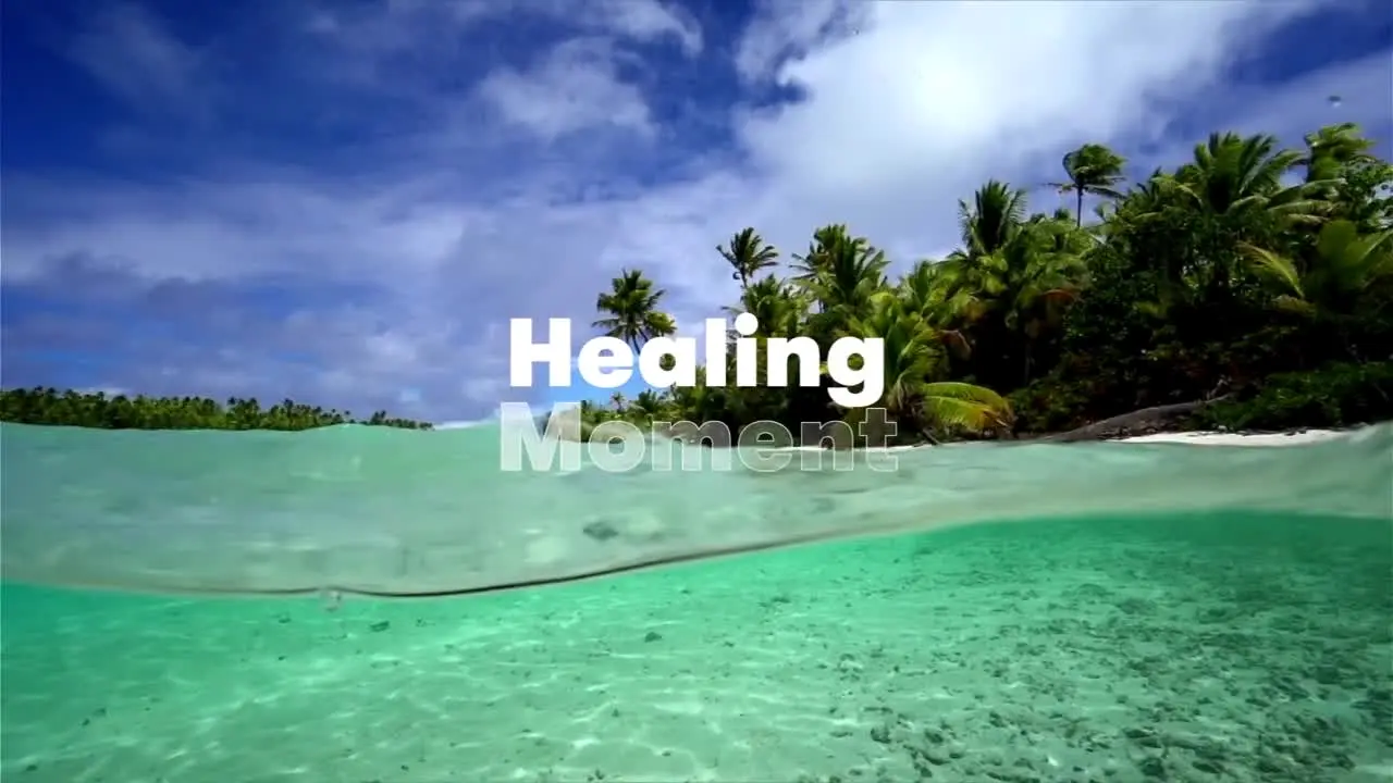 Stingray Naturescape en direct