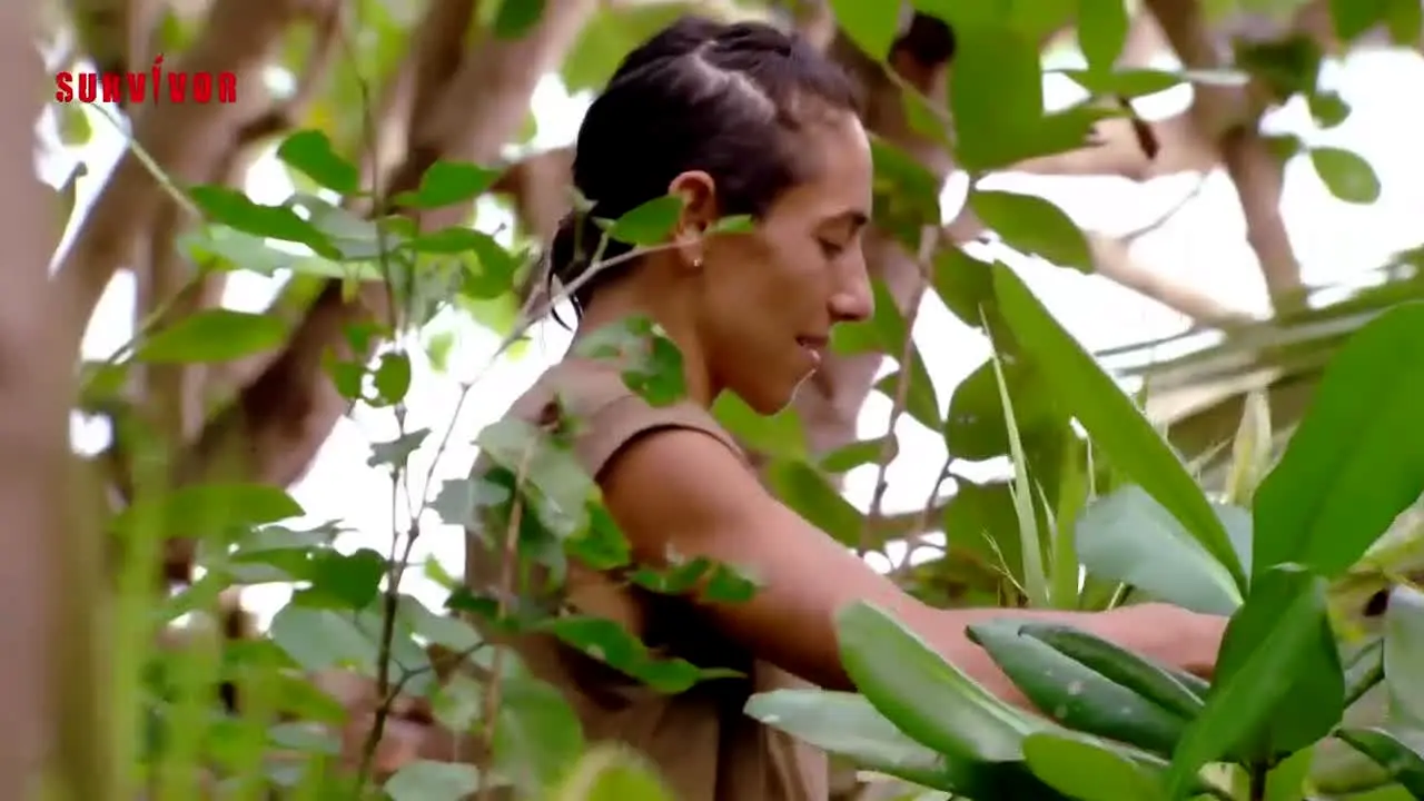 Survivor ao vivo