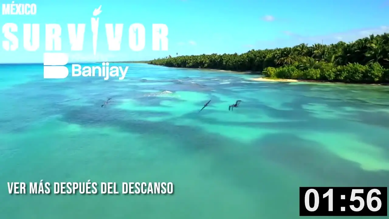 Survivor Mexico en vivo