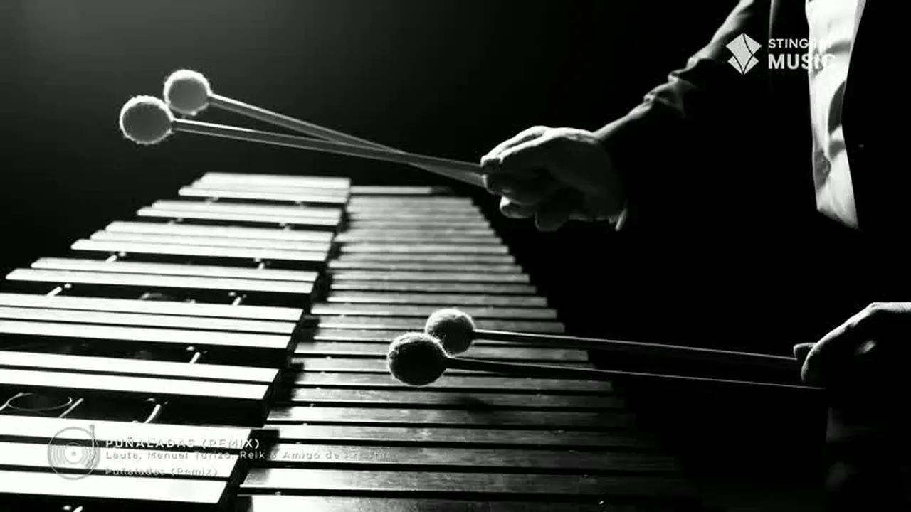 Éxitos del Momento live