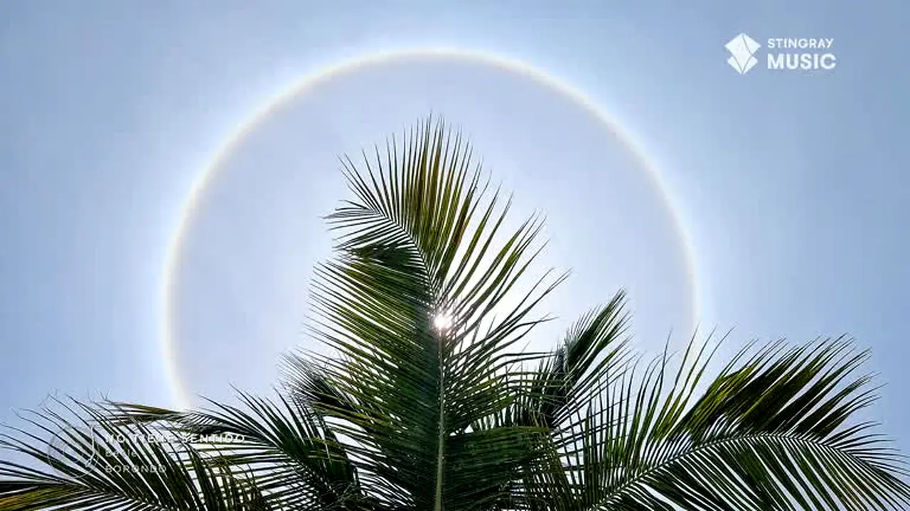Éxitos del Momento live
