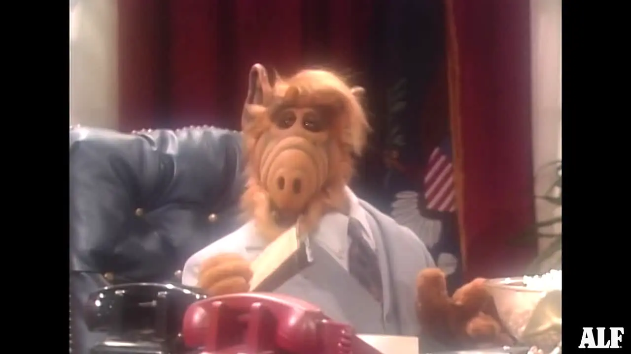 ALF live
