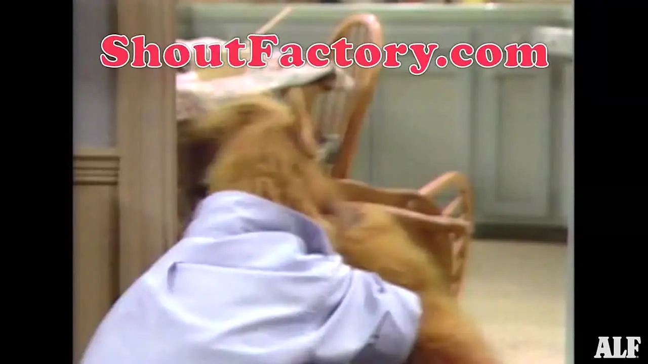 ALF live