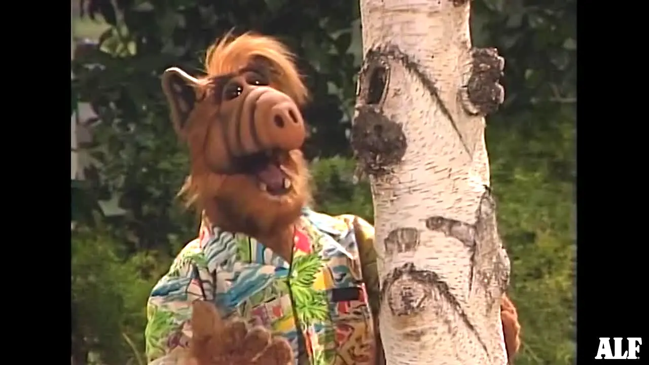 ALF live