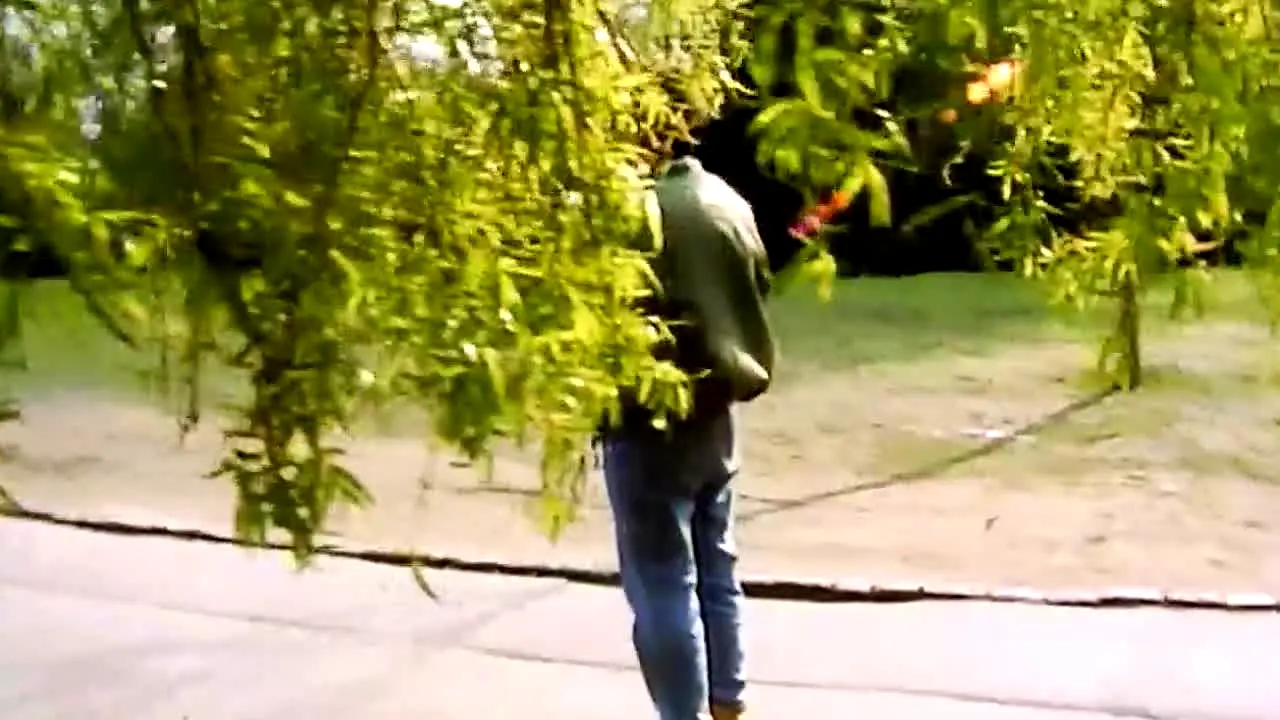 Mr. Bean Live Action live
