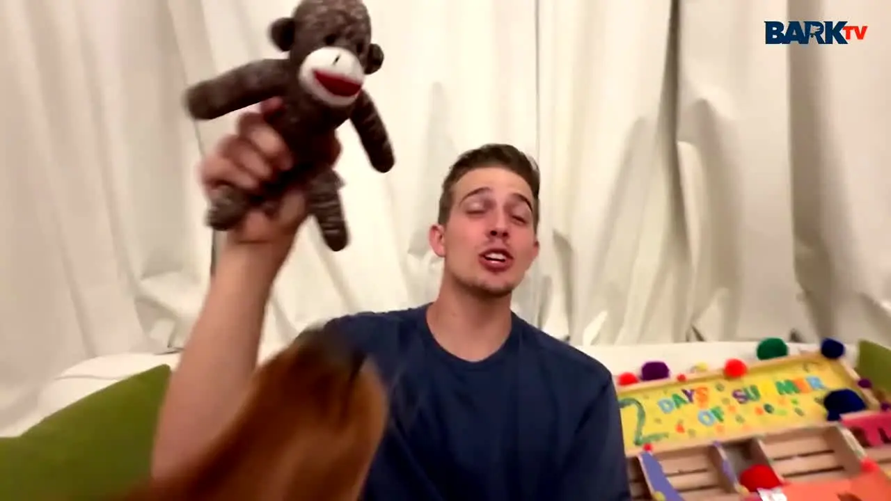 Bark TV en vivo