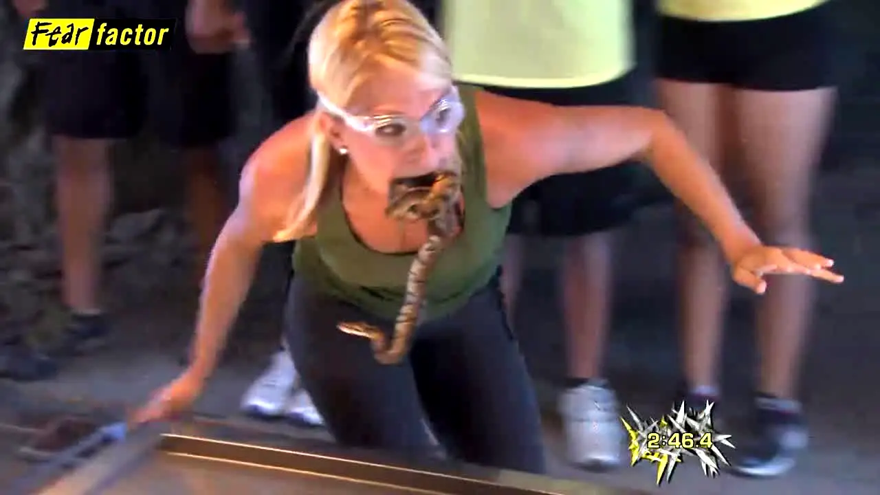 Fear Factor live