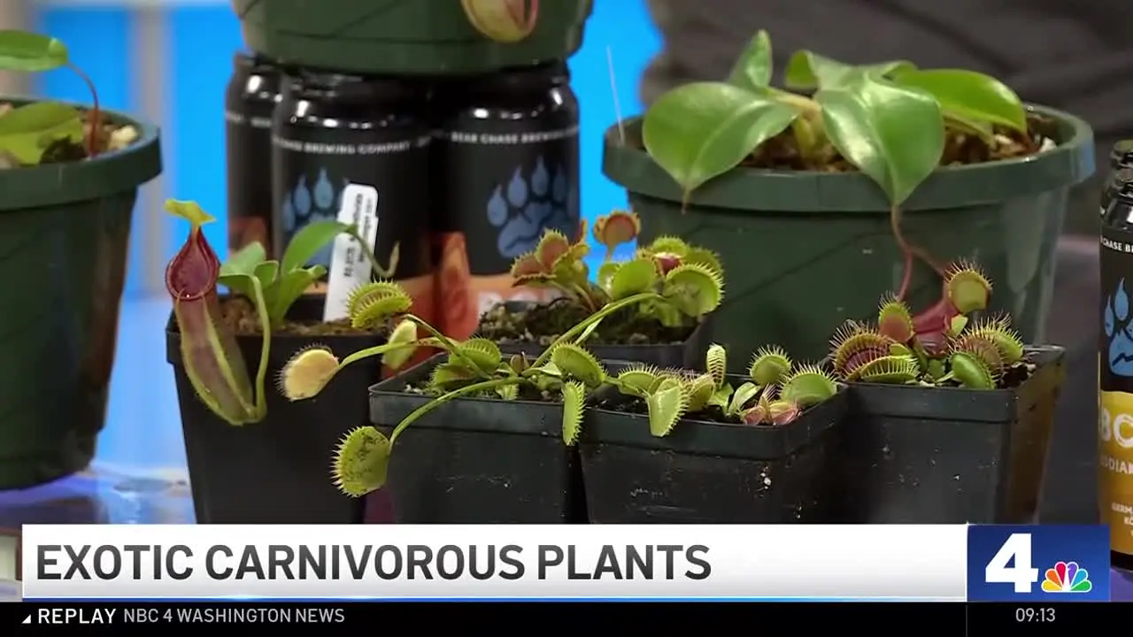 NBC 4 Washington News live