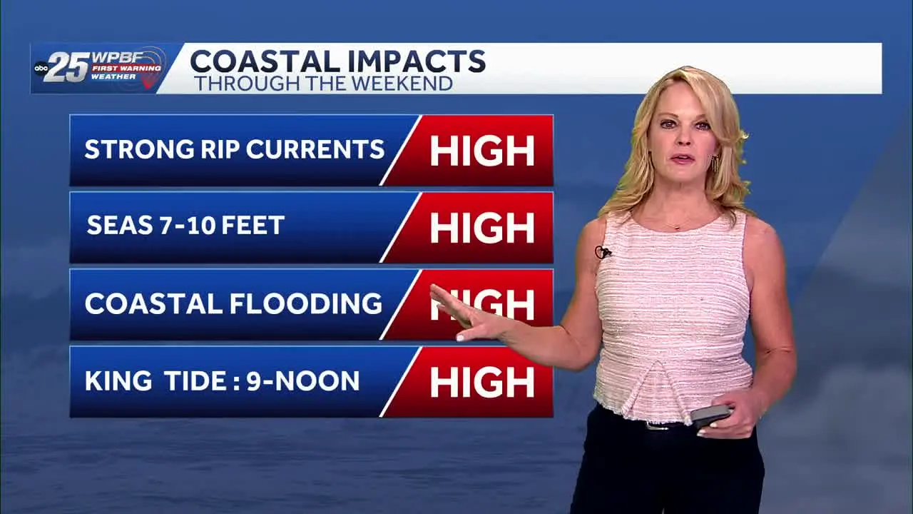 Very South Florida by WPBF 25 live