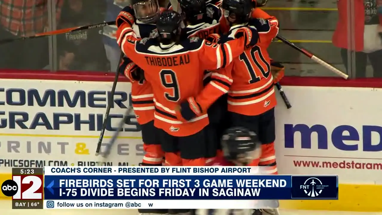 WJRT (ABC) News 12 Flint MI live