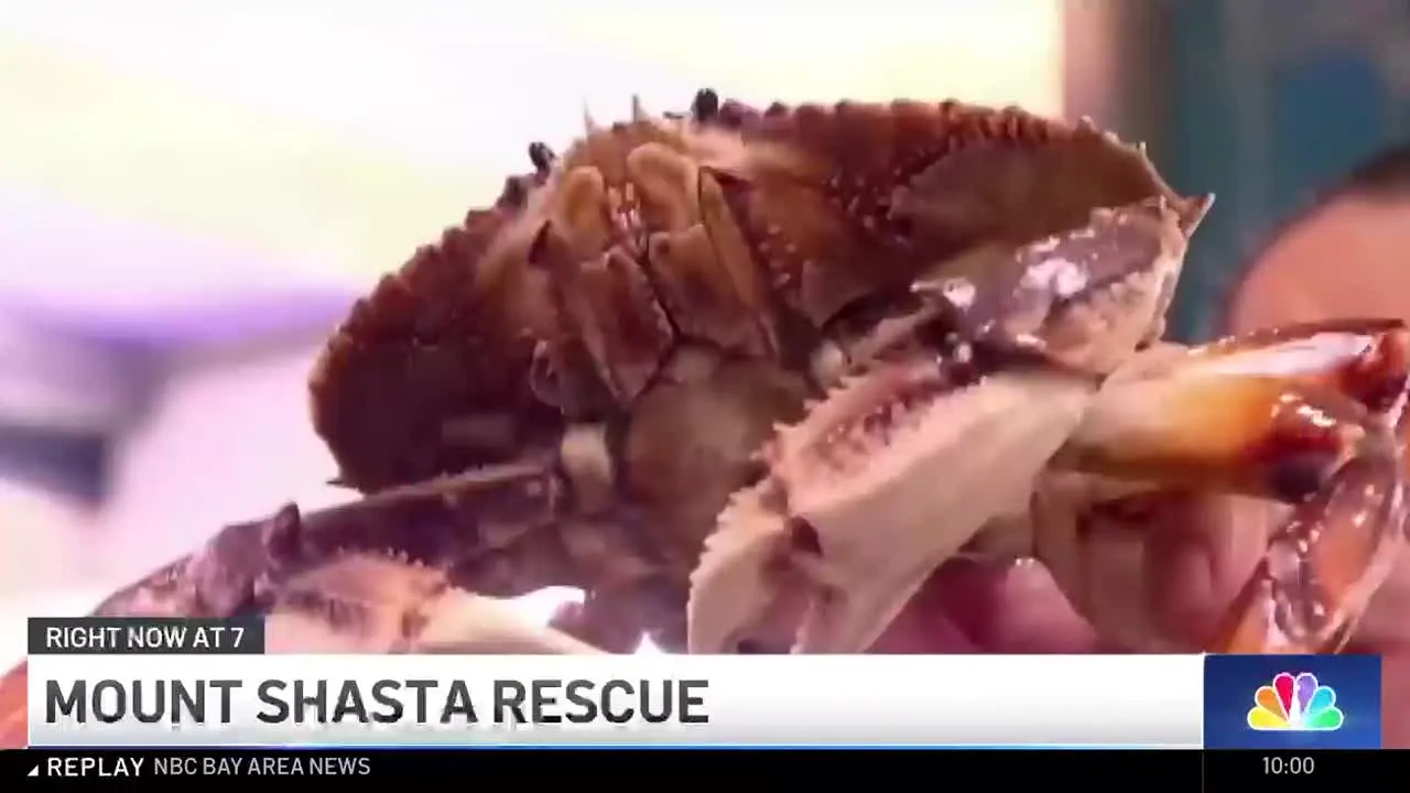 NBC Bay Area News live