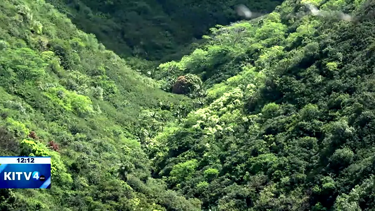 KITV (ABC) News 4 Honolulu HI live