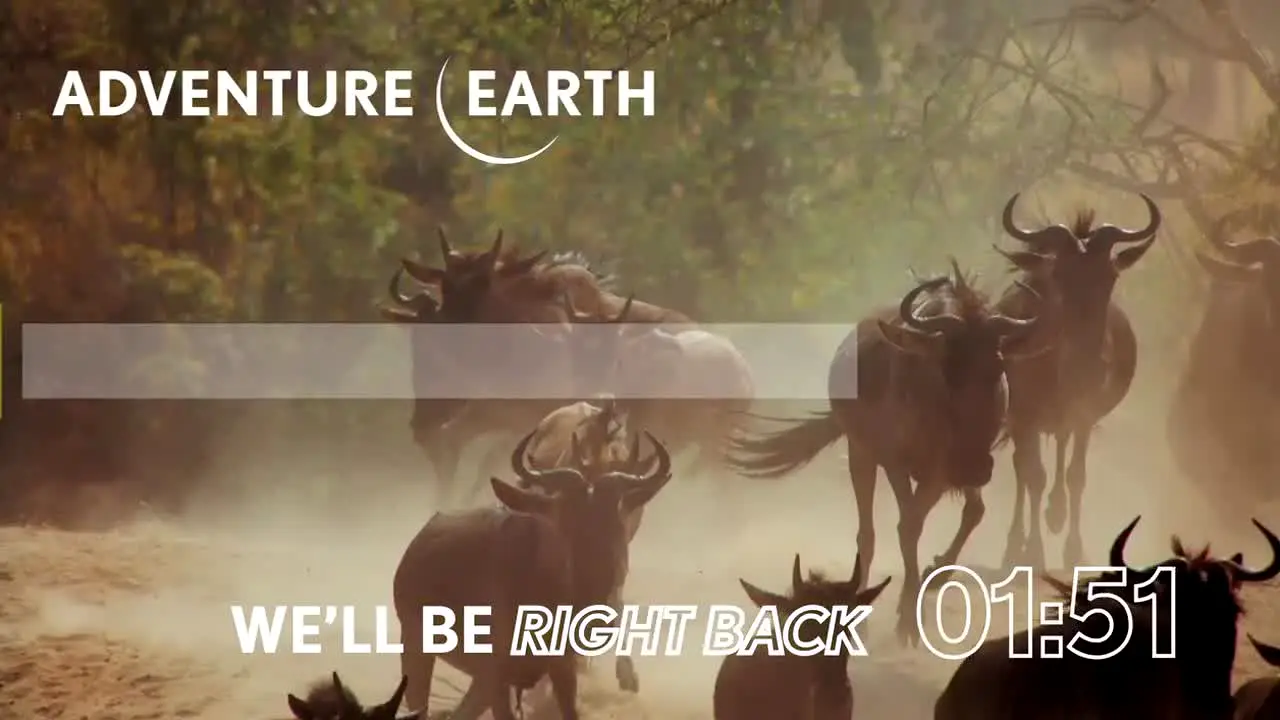 Adventure Earth live