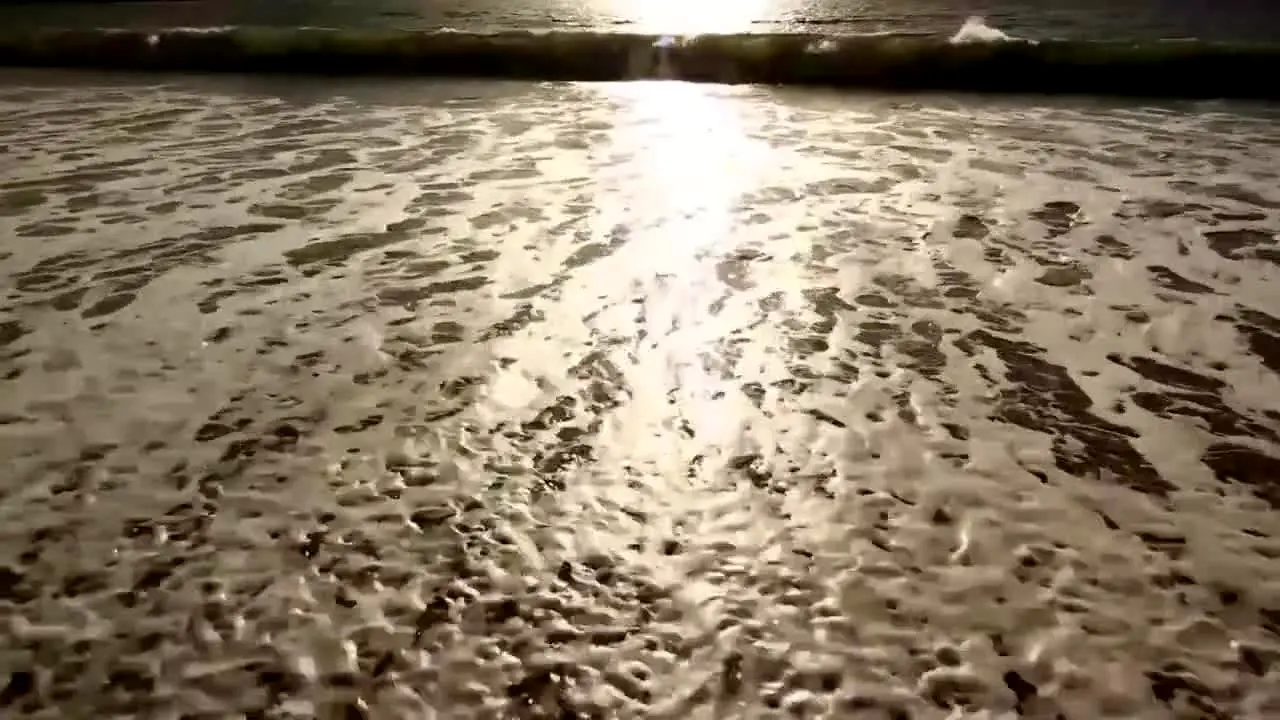 Stingray Naturescape en vivo