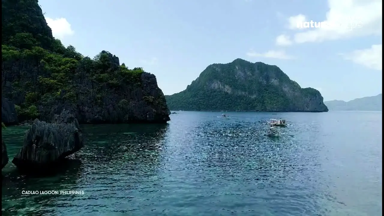Stingray Naturescape ao vivo