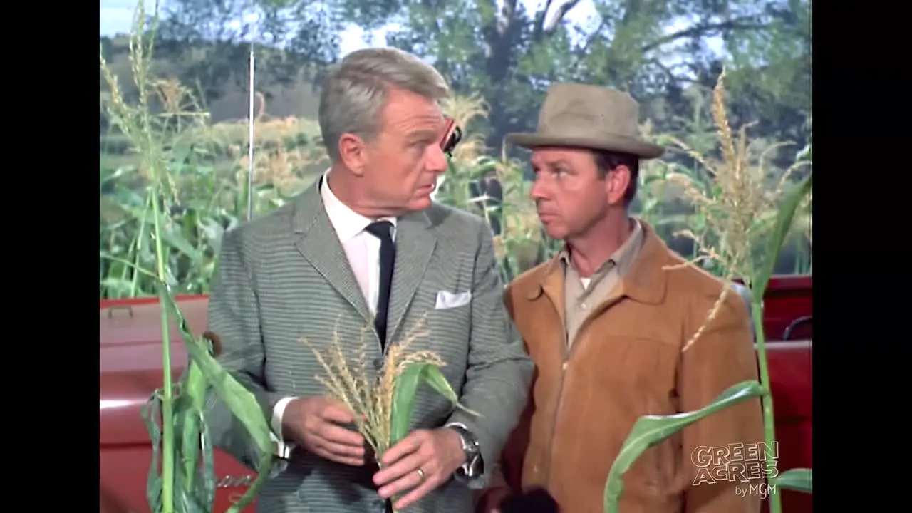 Green Acres live