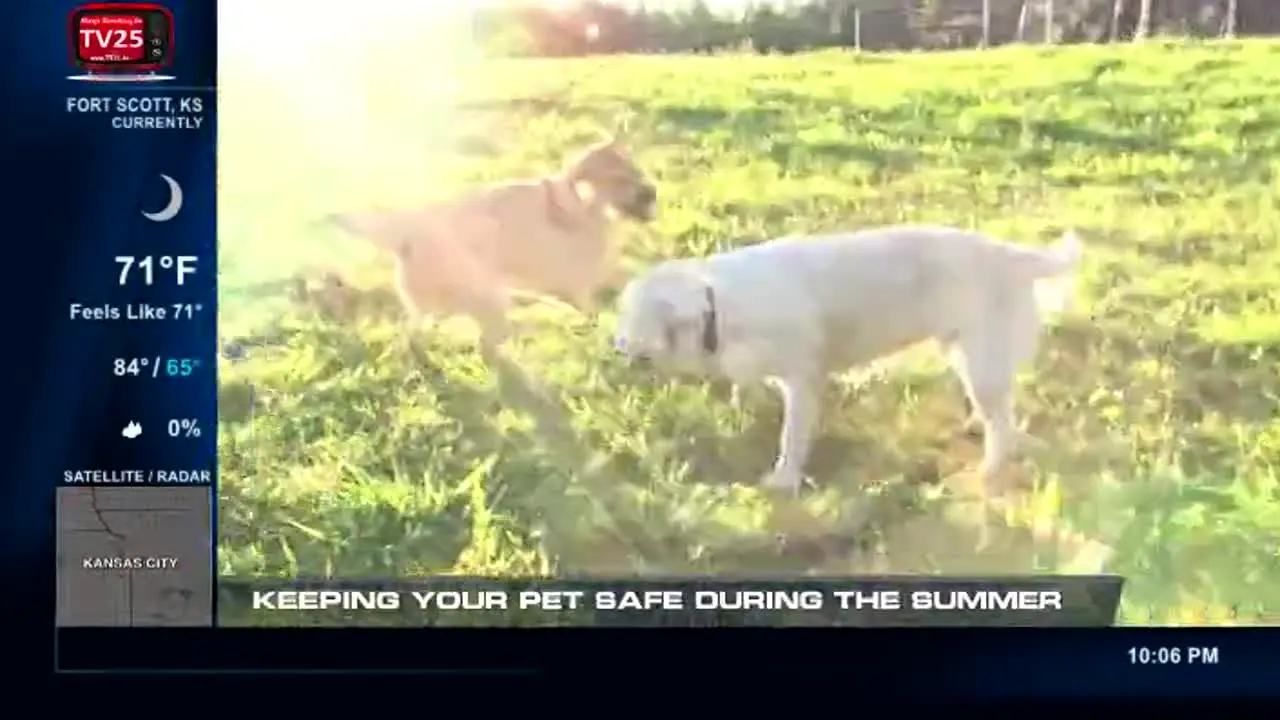 WeatherNation live