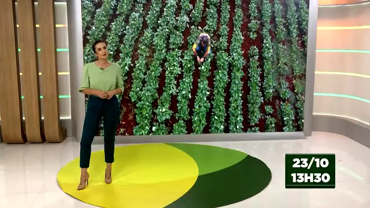 Canal Rural live