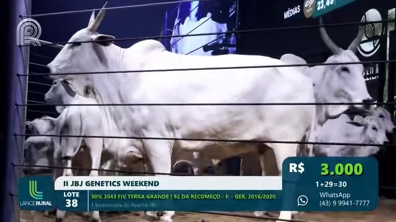 Canal Rural in diretta