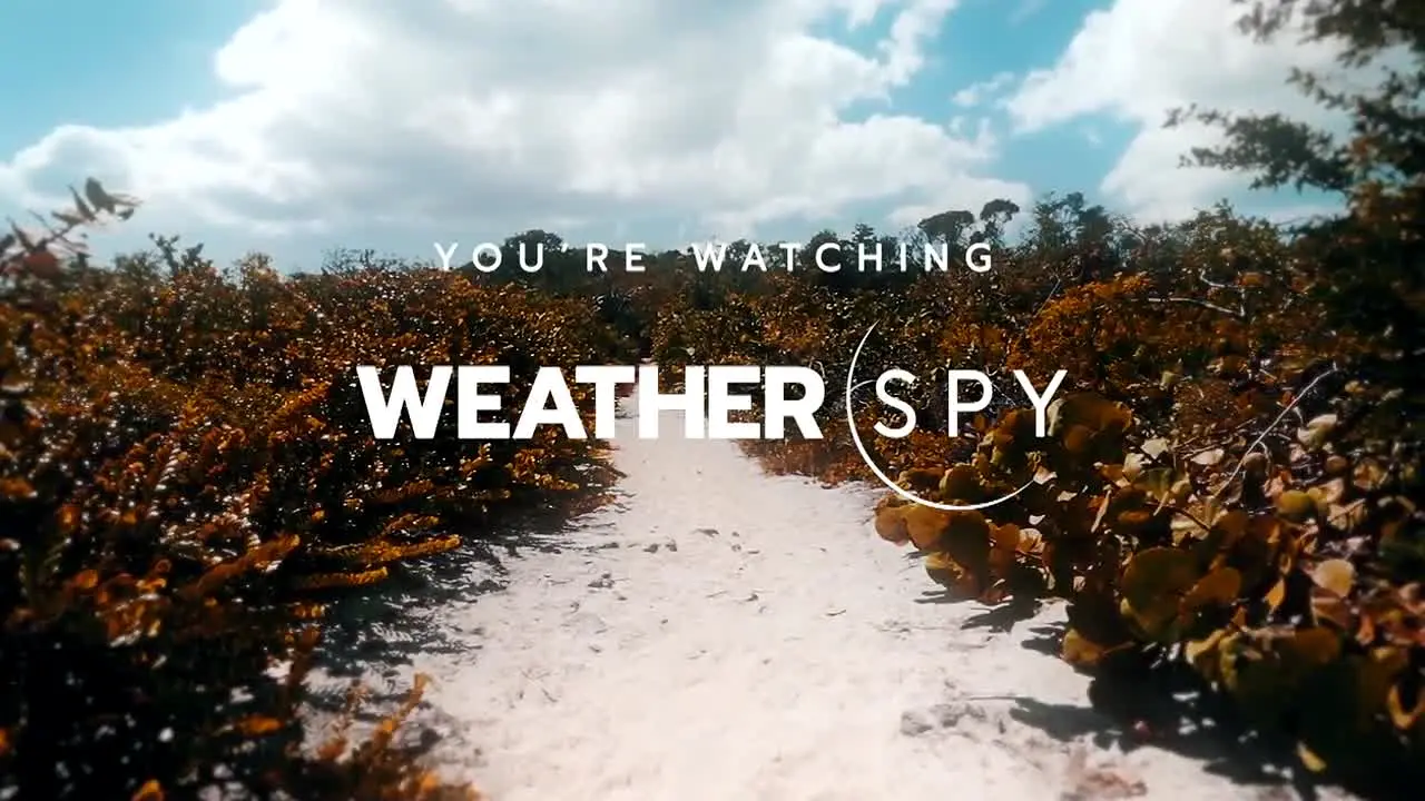 Weather Spy na żywo
