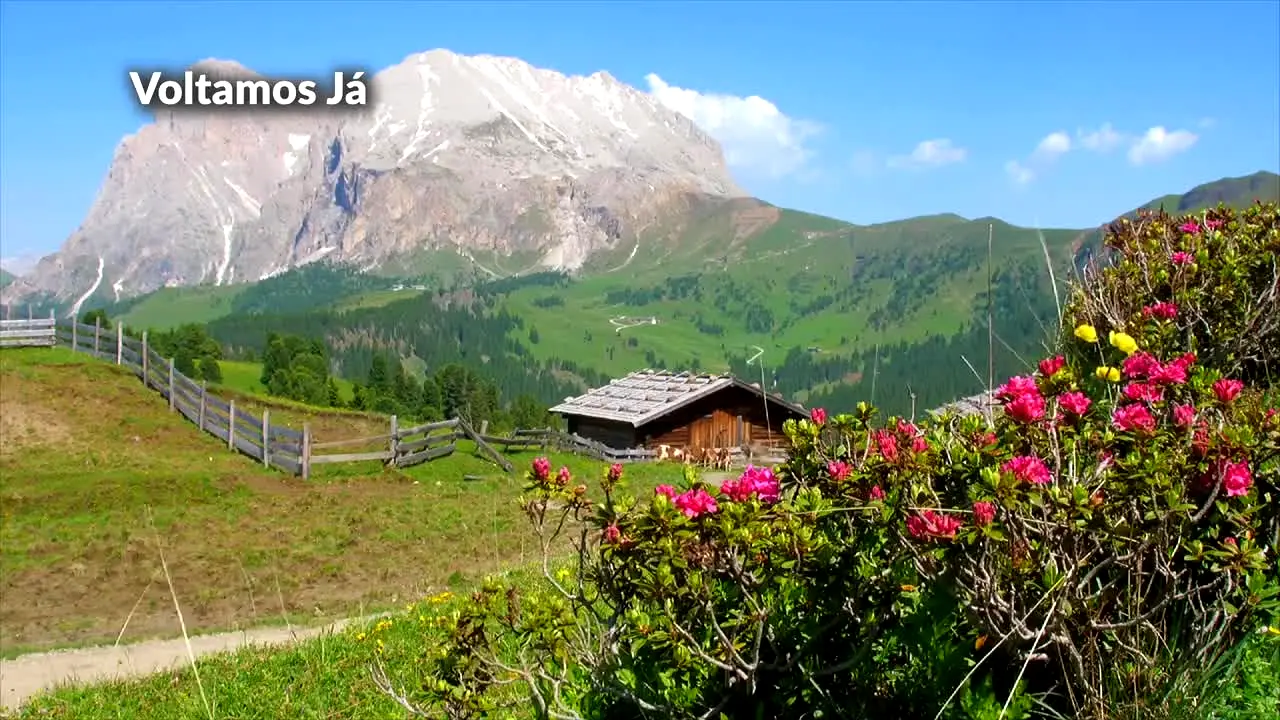 Inspetor Bugiganga en direct