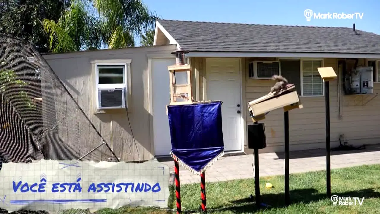 Mark Rober TV ao vivo