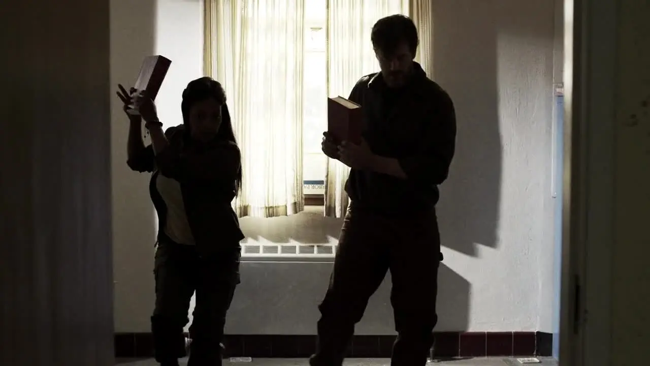 Z Nation ao vivo