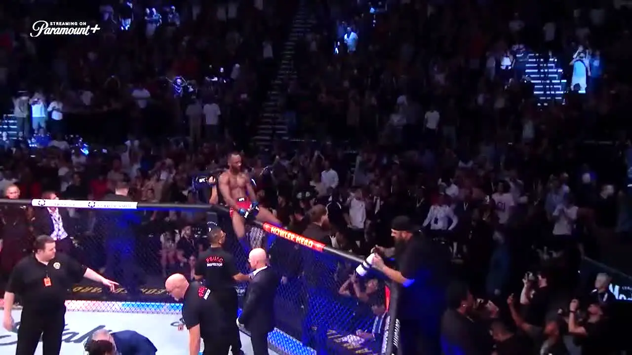 UFC live