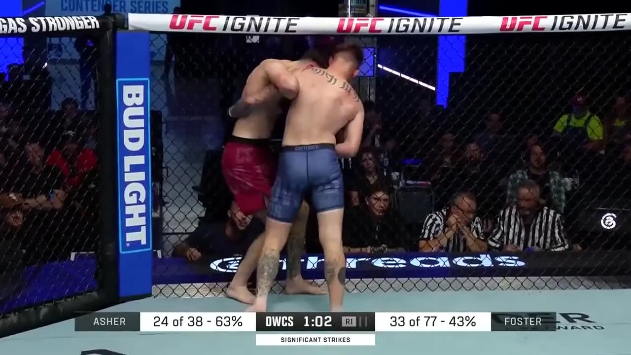 UFC live